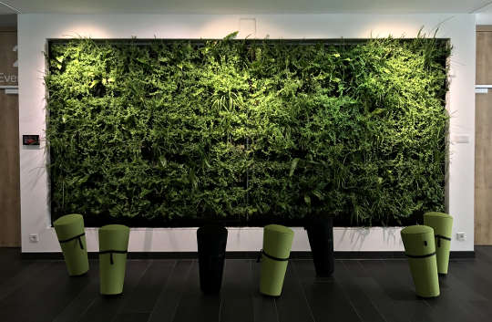 relaxation wall in a workplace
